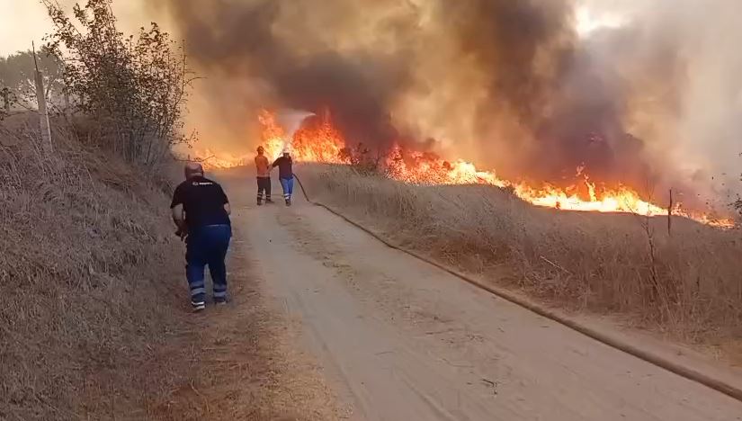 Zjarr në kodrat e Radostinës së Fierit, nis evakuimi i banorëve, kërkohet ndërhyrje nga ajri
