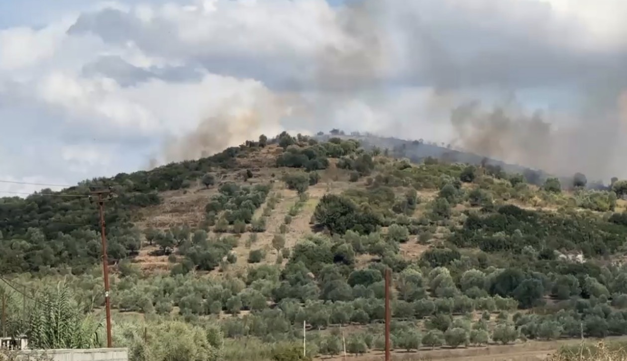 Shuhet pas më shumë se 3 orësh zjarri në Vlorë, dëme të shumta në ullinjtë shekullorë