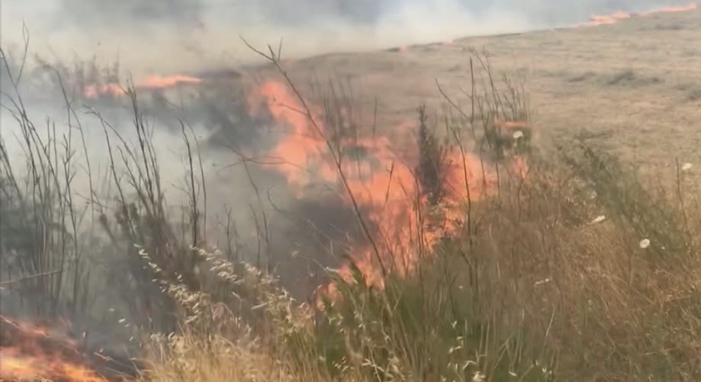37 mijë ha tokë e djegur nga zjarret këtë verë, dy herë më pak se vjet