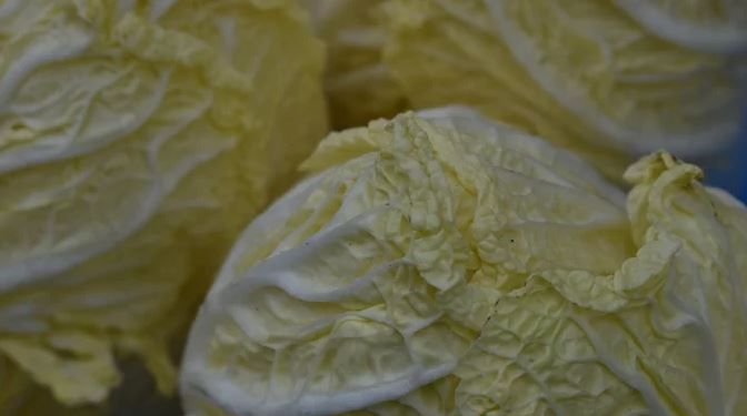 E keni në shtëpi dhe kushton pak! Ushqimi që mund të ndihmojë tretjen dhe imunitetin, ja pse po vlerësohet gjithnjë e më shumë