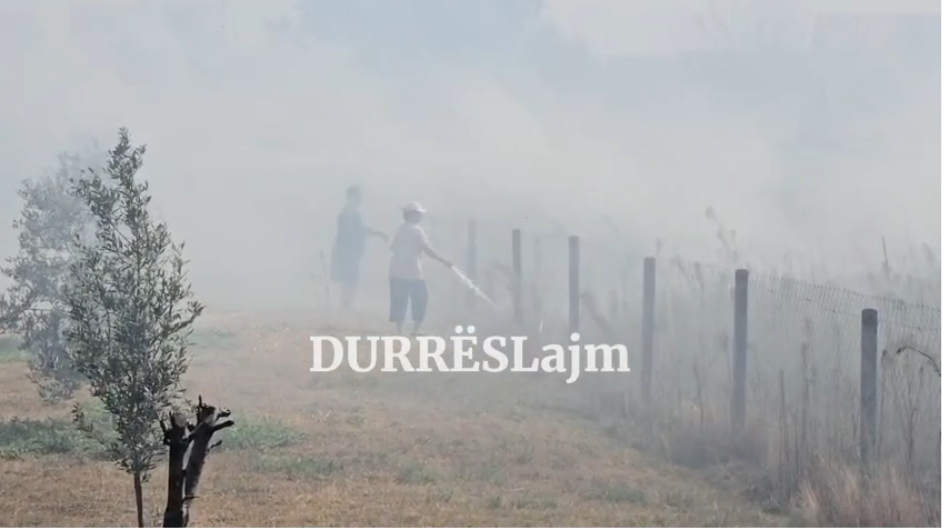 Zjarri përfshin sipërfaqe të mëdha në Durrës, ndërhyjnë zjarrfikësit (VIDEO)