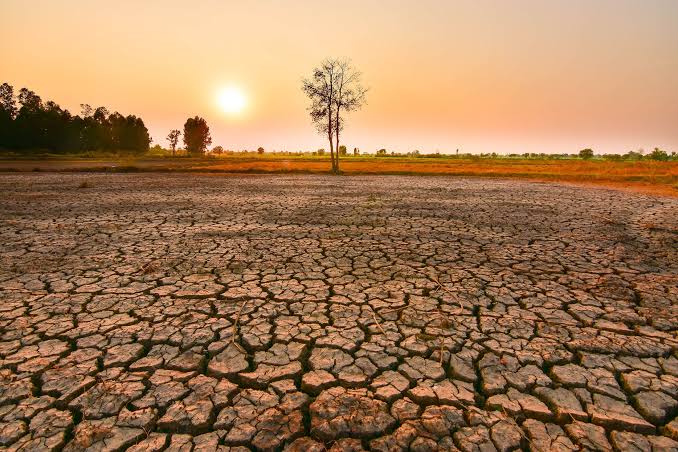 Alarmi për klimën/ Gushti 2026 regjistrohet si muaji më i nxehtë në histori, El Niño pritet të rrisë më tej temperaturat