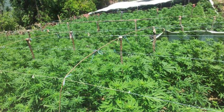 Të shtëna me armë zjarri gjatë një operacioni antidrogë në Qafështamë