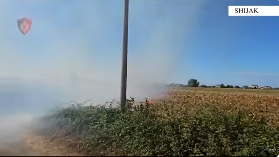 Ndez zjarr në tokën e tij, flakët përhapen pranë banesave, arrestohet 46-vjeçari në Shijak