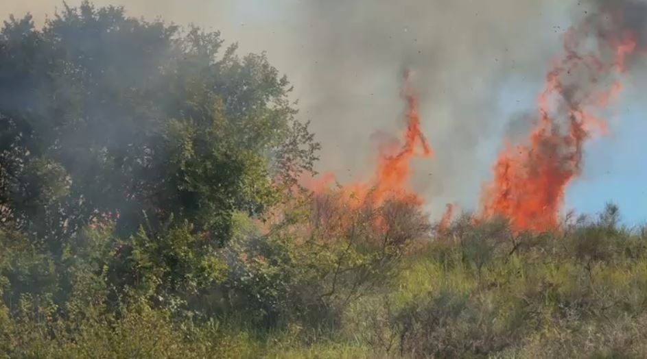 Zjarr masiv në afërsi të kodrave të Parkut Arkeologjik të Apolonisë