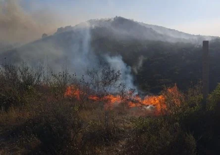 Zjarri përfshin 1.5 km në Kropisht të Selenicës, kërkohet ndërhyrje nga ajri për izolimin e flakëve